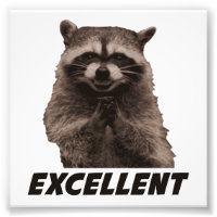 Excelente Raccoon