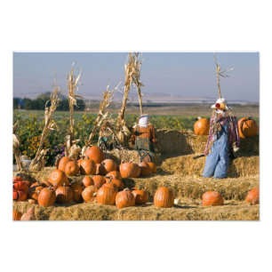 Foto Exhibición de calabaza con pacas de heno y espanta