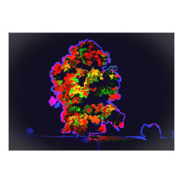 Foto Explosión de árbol neón