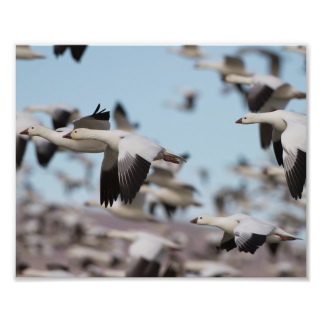 Foto Explosión en los cielos de Socorro (Frente)