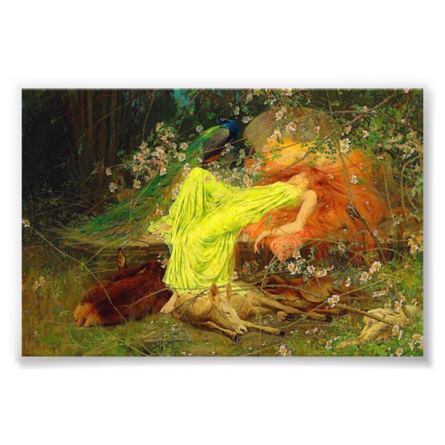 Foto Fairy Tale Arthur Wardle (Frente)