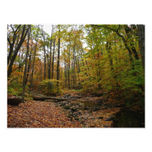Foto Fall Creek en Laurel Hill State Park Pennsylvania
