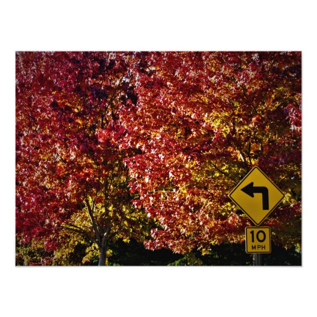 Foto "F'all Right Entonces" (Frente)