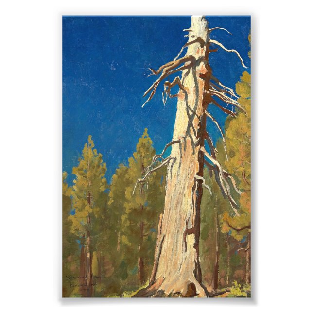 Foto Fallen Leaf de Maynard Dixon (Frente)