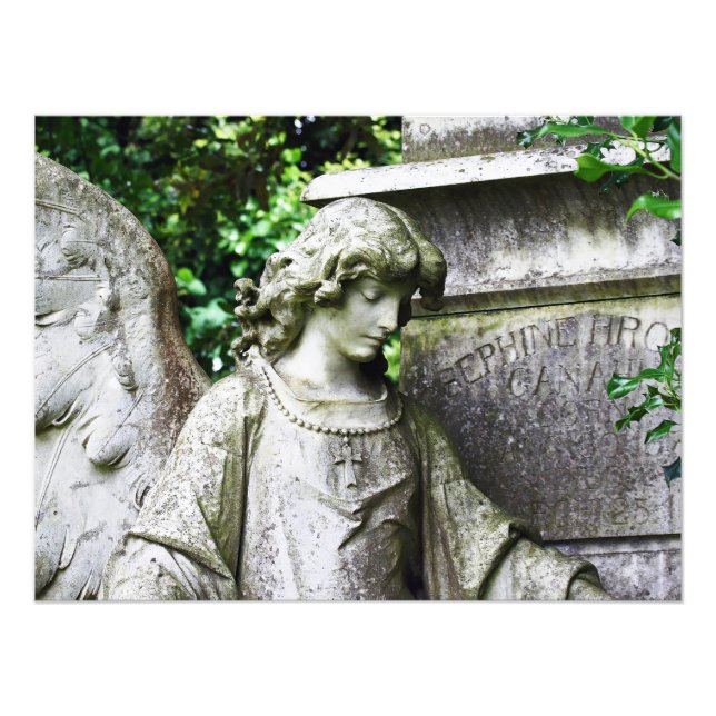 Foto Falln Garden Angel (Frente)