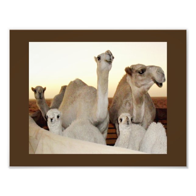 Foto Familia Camel (Frente)