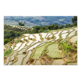 Foto Famosas terrazas de arroz yuanyang - Yunnan, China