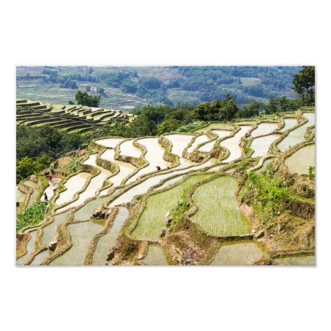 Foto Famosas terrazas de arroz yuanyang - Yunnan, China (Frente)