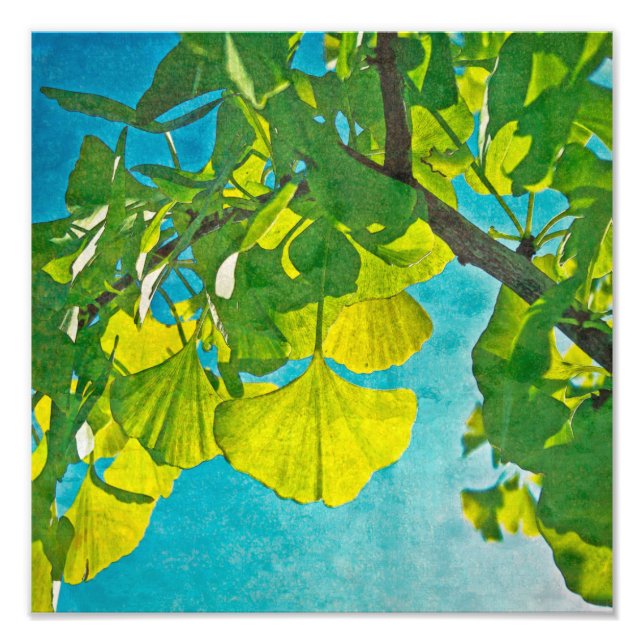 Foto Fans de Dreamy (Frente)