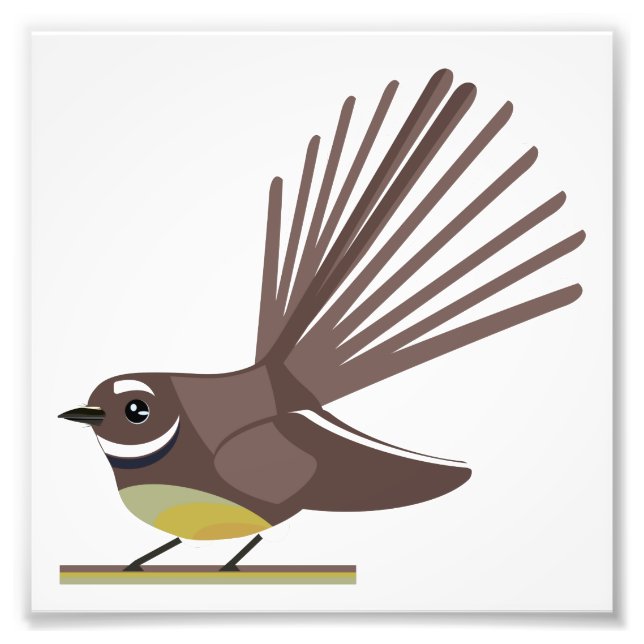 Foto Fantail piwakawaka NZ BIRD (Frente)