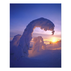 Foto Fantasmas de nieve en la cordillera Whitefish de M