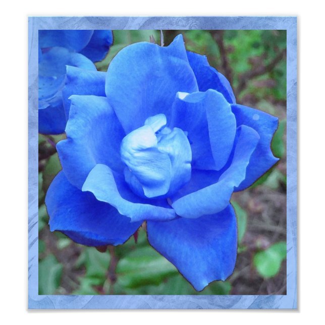Foto Fantasy Blue Rosa Digital Print Wall Art (Frente)