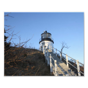 Foto Faro de la cabeza de búho 2