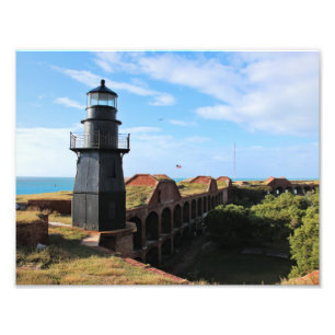 Foto Faro de la llave del jardín, Tortugas secas en Flo