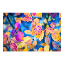 Fascinantes hojas de montaña de algodón