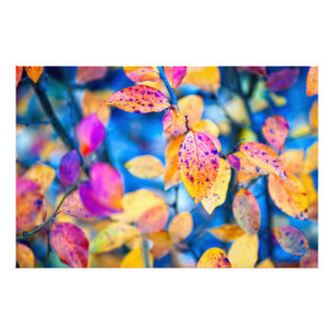 Foto Fascinantes hojas de montaña de algodón