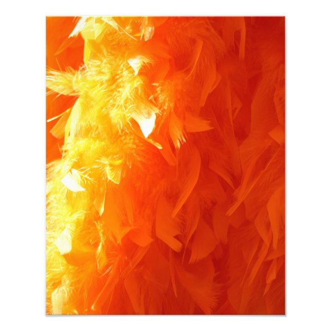 Foto Feather (Frente)