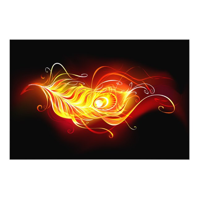 Foto Feather Peacock (Frente)