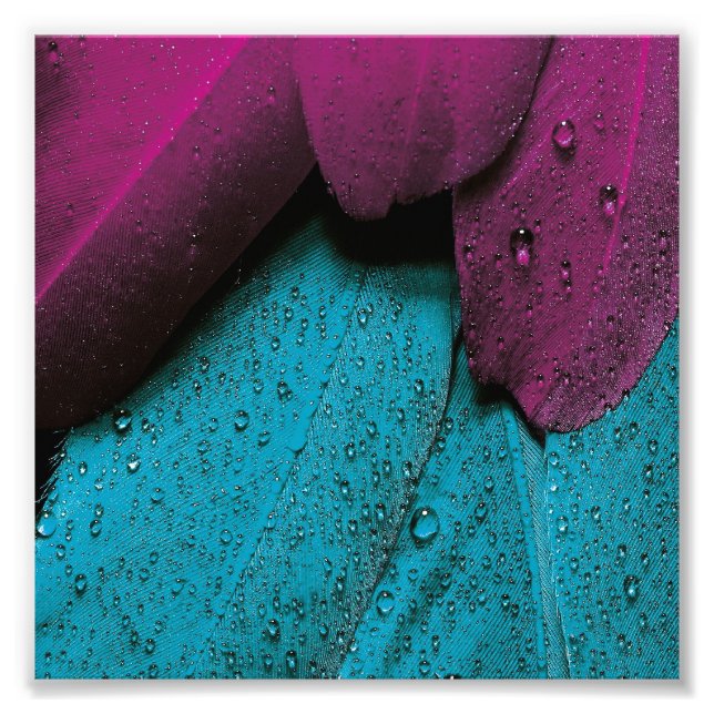 Foto Feather Violeta Turquesa (Frente)