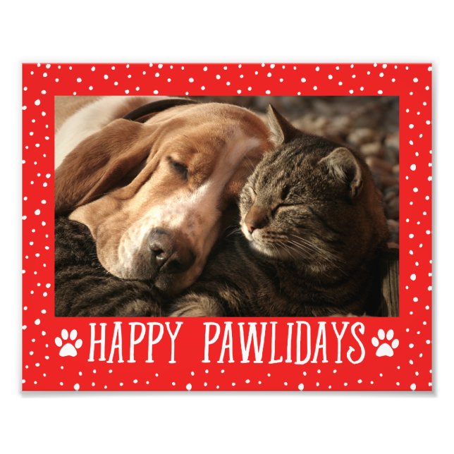 Foto Felices Pawlidays | Vacaciones rojas (Frente)