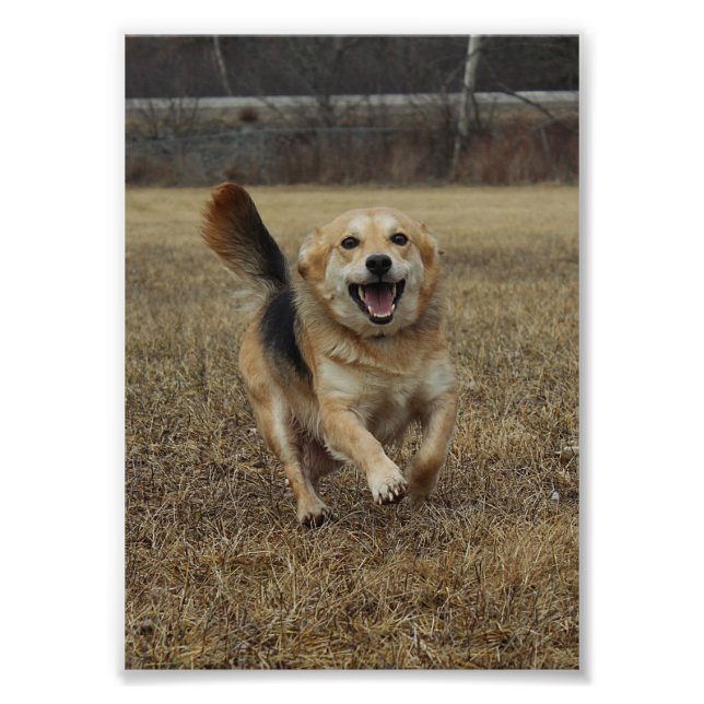 Foto Felicidad (Frente)