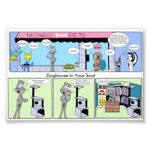 Foto Felino Moda-Delantero