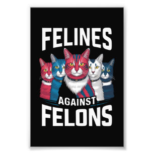 Foto Felinos Contra Delincuentes