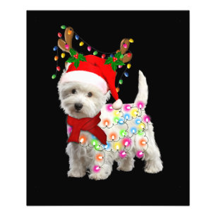 Foto Feliz Navidad Cosplay de renos de perro occidental