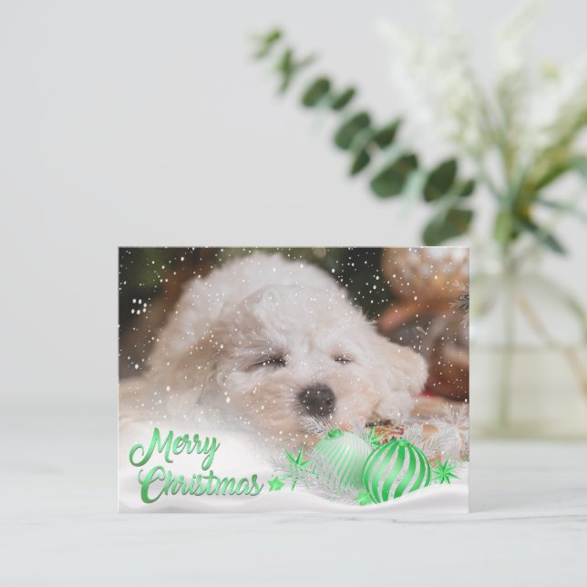 Foto: Feliz Navidad Nieve superpuesta Presupuestar (Anverso de pie)