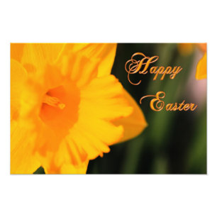 Foto Feliz Pascua Primavera Amarilla Flor de Daffodil