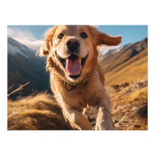 Foto Feliz recuperación de oro corriendo