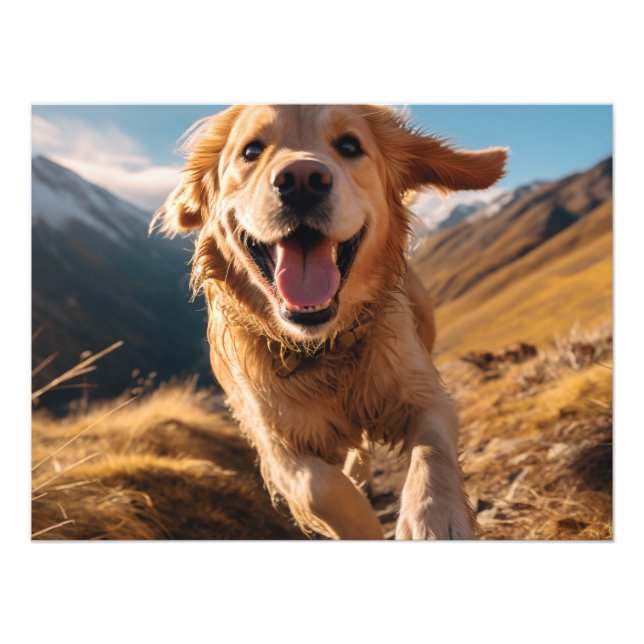 Foto Feliz recuperación de oro corriendo (Frente)