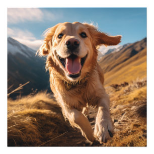 Foto Feliz recuperación de oro corriendo