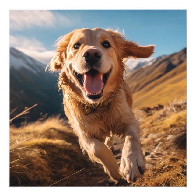 Foto Feliz recuperación de oro corriendo (Frente)