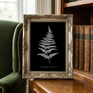 Foto Fern - Gymnogramma Chrysophylla. Efecto de rayos X