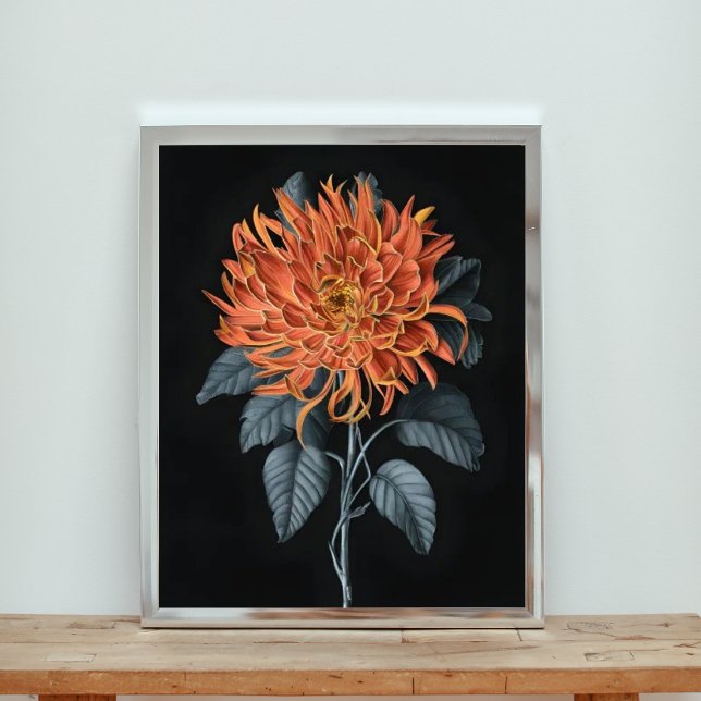 Foto Fiery Elegance: Chrysanthemum Naranja (Subido por el creador)