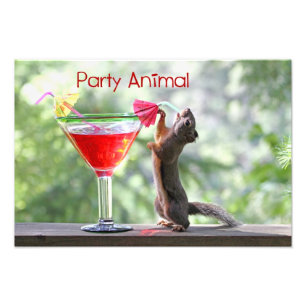 Foto Fiesta Animal Squirrel
