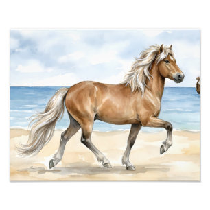 Foto Fjara Caballo islandés acuarela en la playa