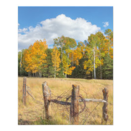 Foto Flagstaff meadow