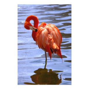 Foto Flamenco en una pierna en el agua