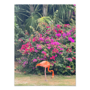 Foto Flamenco Rosa en el Follaje Tropical