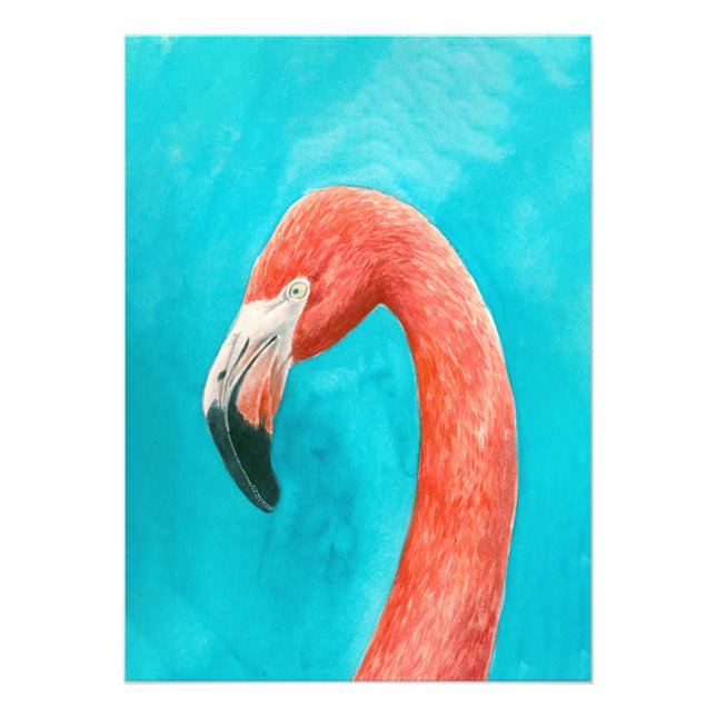 Foto Flamingo (Frente)