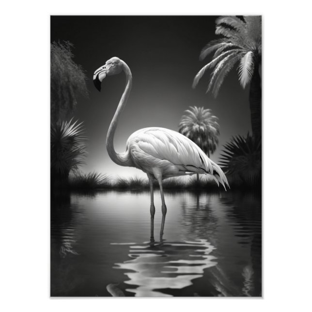 Foto Flamingo en un estanque (Frente)