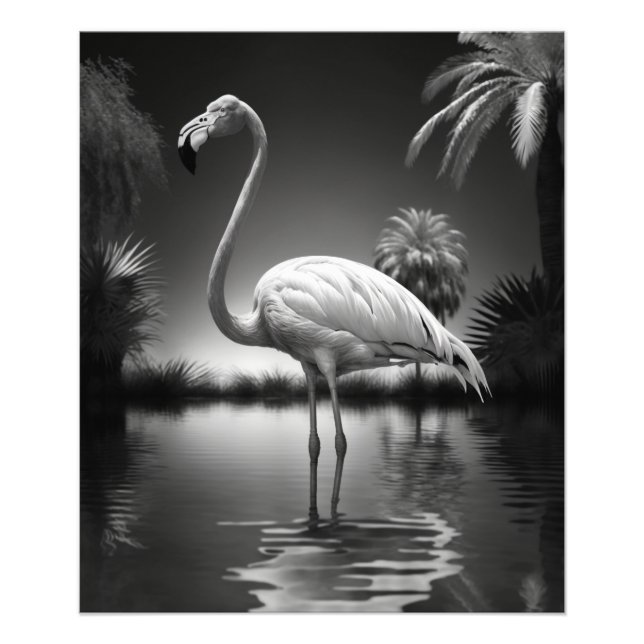Foto Flamingo en un estanque (Frente)