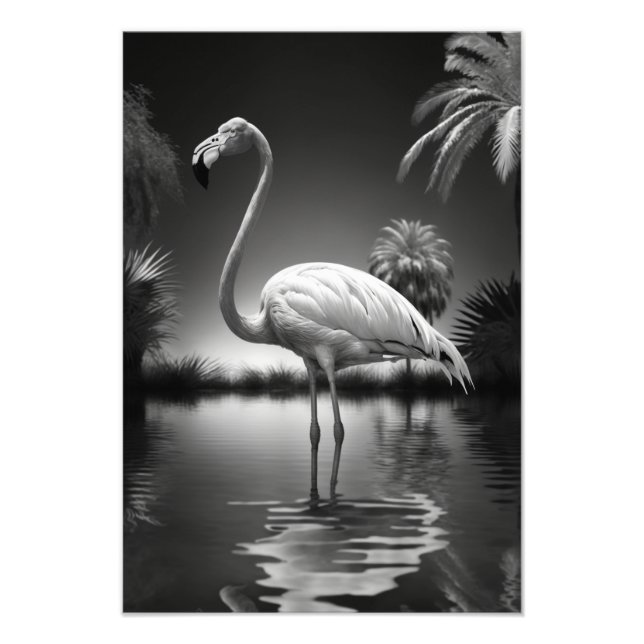 Foto Flamingo en un estanque (Frente)