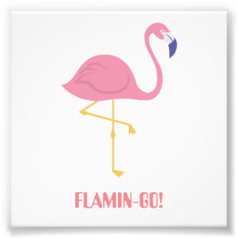 Foto Flamingo (Flamin-Go!)