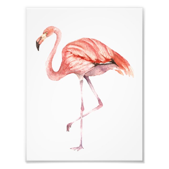Foto Flamingo rosa (Frente)