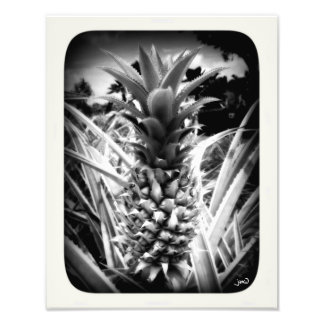 Foto Flash De Inspiración