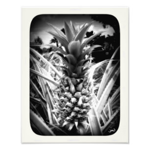 Foto Flash de la inspiración
