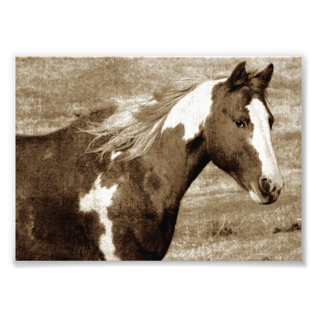 Foto Flashy Tobinano Mare Sepia (Frente)
